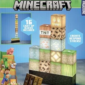 MINECRAFT BLOCK-BUILDING LIGHT —- 16 BLOCK LIGHT-UP TOWER: THIS IS THE OG SET